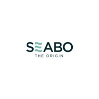 Seabo International Limited Team TESTIFY